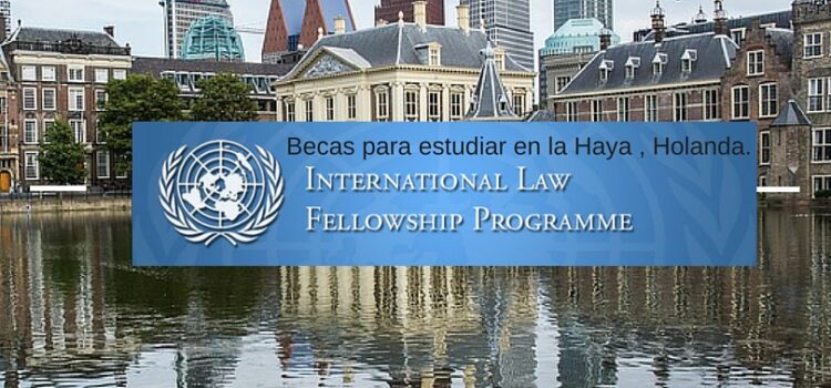 Holanda, UN, International Law