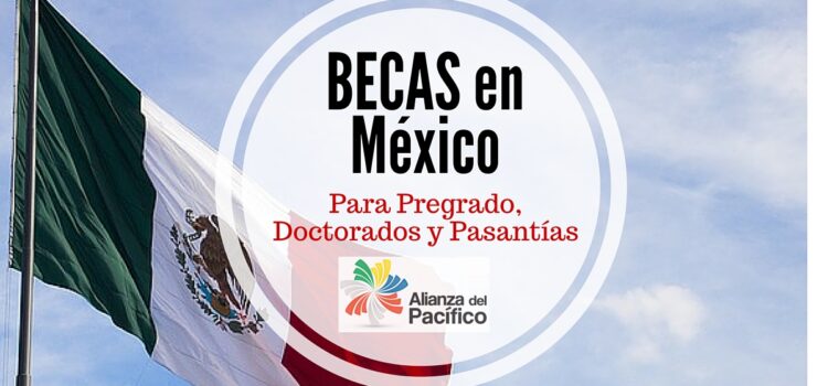 Becas en México para pregrado, doctorado y pasantías