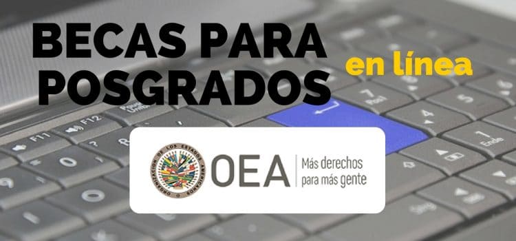 Becas de posgrados en línea con la OEA