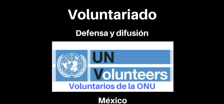 Voluntariado remunerado con Naciones Unidas en México.
