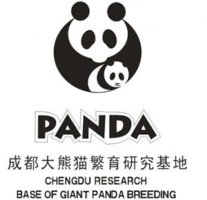fundacion de pandas