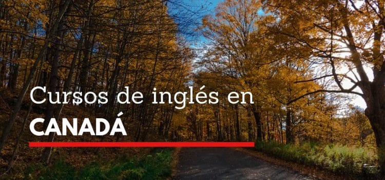 Todo lo que deseas saber sobre: Cursos de inglés en Canadá