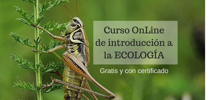 Curso On line Ecología