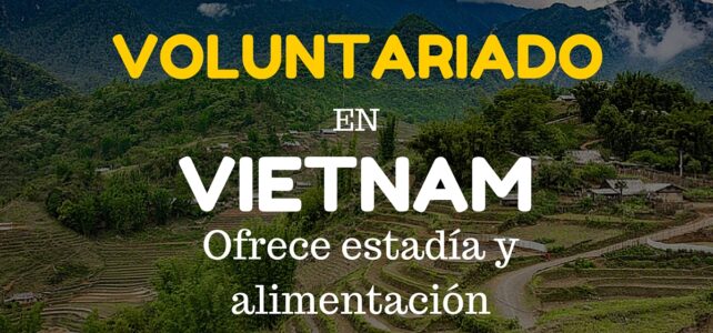 Voluntariado en Vietnam junto con otros extranjeros – Ideal para mejorar tu Inglés