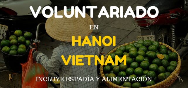 Voluntariado en Vietnam. Incluye estadía