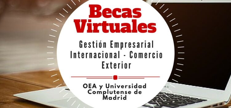 Becas de la OEA para maestrías virtuales