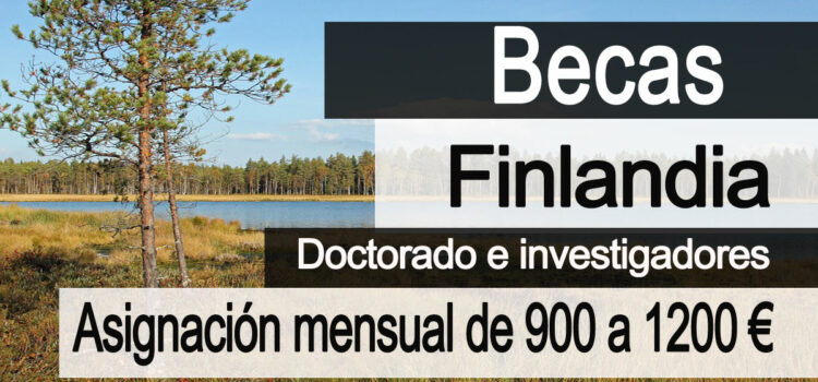 Becas del gobierno de Finlandia para estudiantes extranjeros.