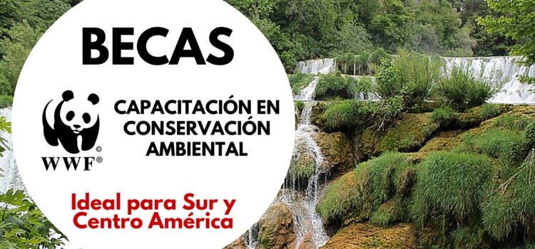 Becas de la WWF en Conservación Ambiental para Latinoamericanos