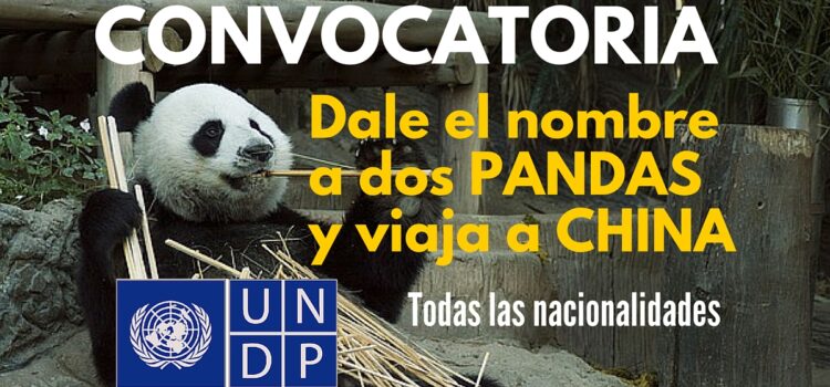 Convocatoria de Naciones Unidas para que le dés un nombre a dos pandas y ganes un viaje a China