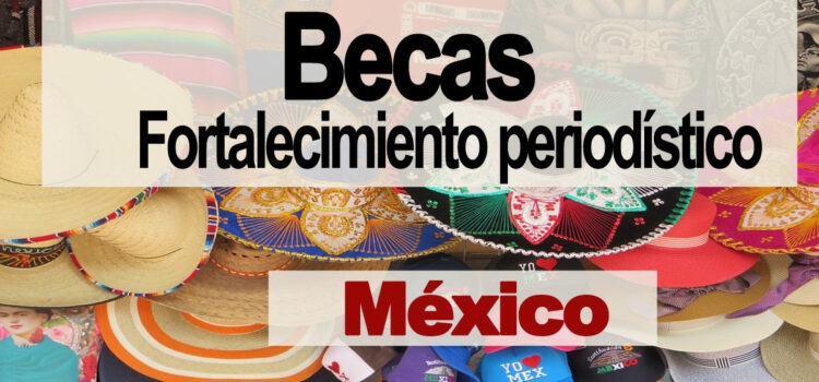 Becas para fortalecer habilidades periodísticas en México