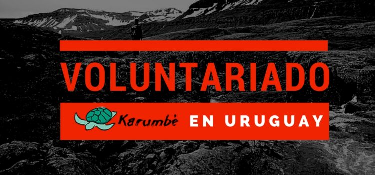 Voluntariado en Uruguay – Viaja y aporta con tu trabajo.