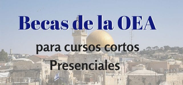 Becas de la OEA  para cursos cortos