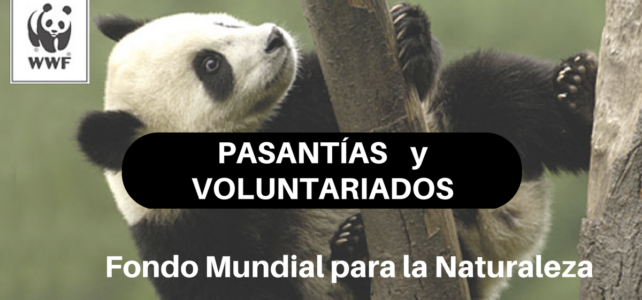 Pasantías y Voluntariados con el Fondo Mundial para la Naturaleza – WWF