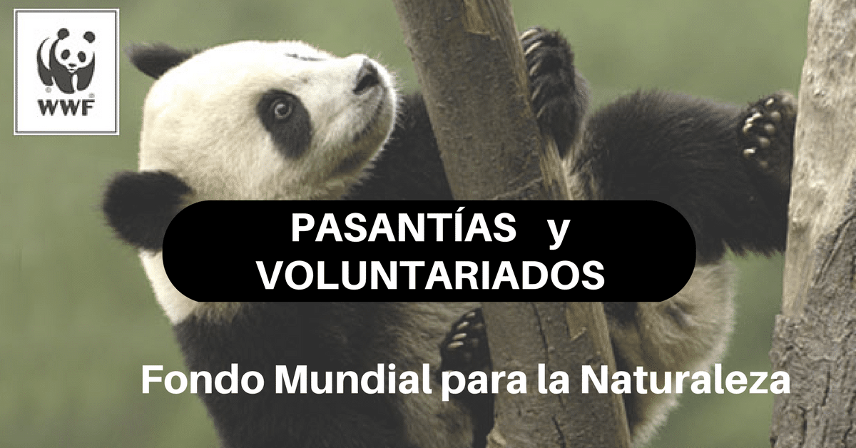 Pasantías y Voluntariados con el Fondo Mundial para la Naturaleza - WWF -  Más Oportunidades