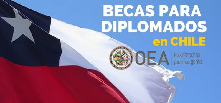 Becas para diplomados en línea OEA y FLACSO