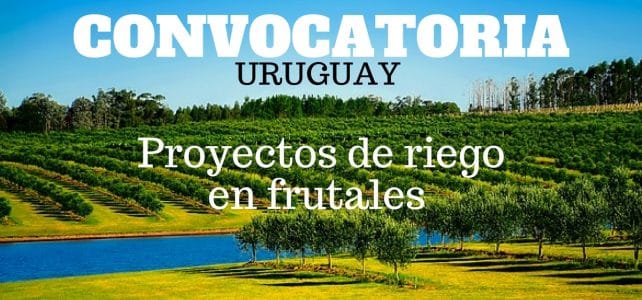 Convocatoria para proyectos de riego en frutales y horticultura en Uruguay