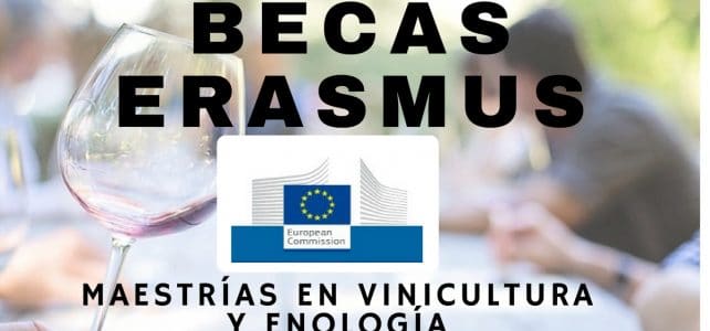 Becas Erasmus de la Unión Europea para cursar maestrías en vinicultura y enología