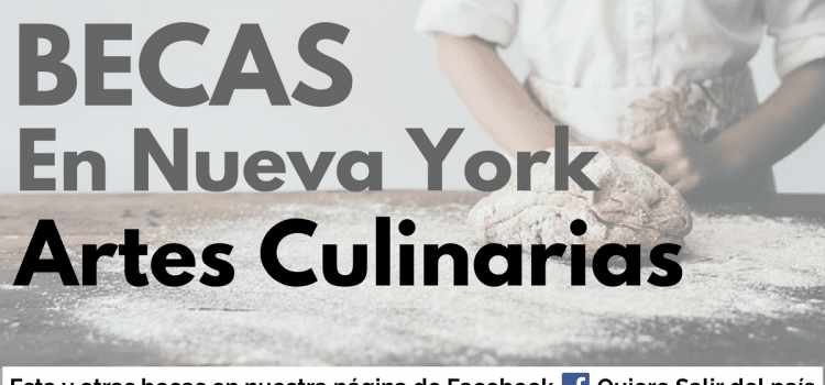 Becas en Artes culinaria en el ICE de Nueva York