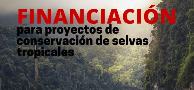 Subvenciones para proyectos de conservación de selvas tropicales