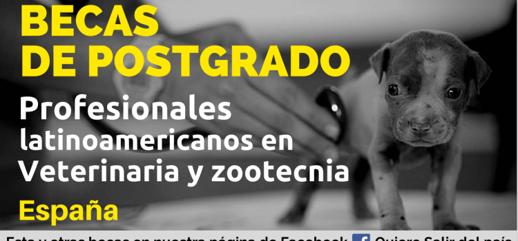 Becas para profesionales en veterinaria y zootecnia en España