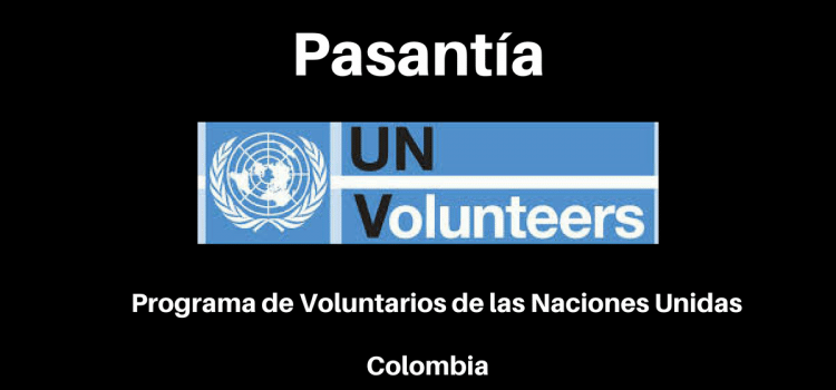 Pasantía con el programa de voluntarios de Naciones Unidas