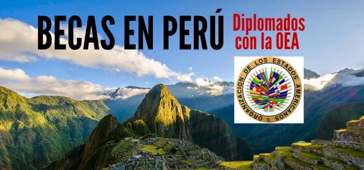 Becas para cursar diplomados con la OEA en Perú