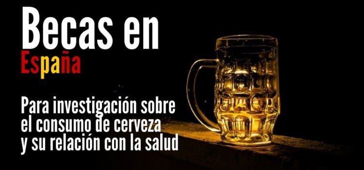 Becas en España para proyectos sobre el consumo de cerveza