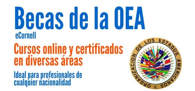 Becas de la OEA para cursos online certificados en diferentes áreas