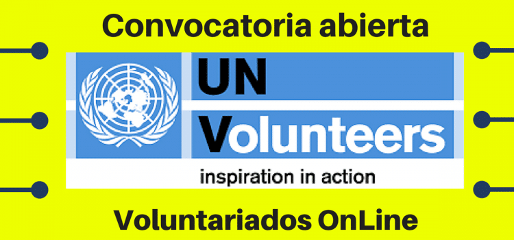 Voluntariado UN