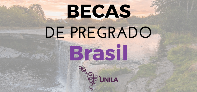 Becas de pregrado en Brasil – Mas de 20 profesiones, incluye Medicina