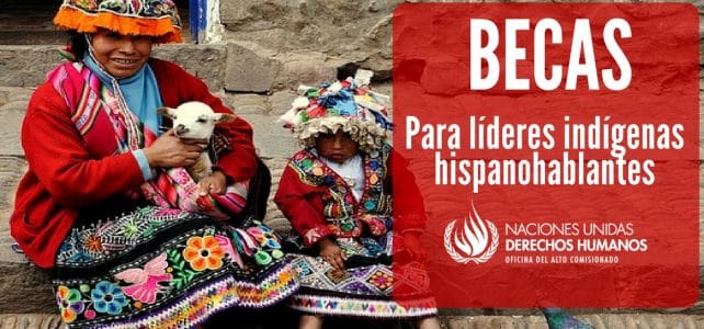 Convocatoria de la ONU para indígenas hispanohablantes