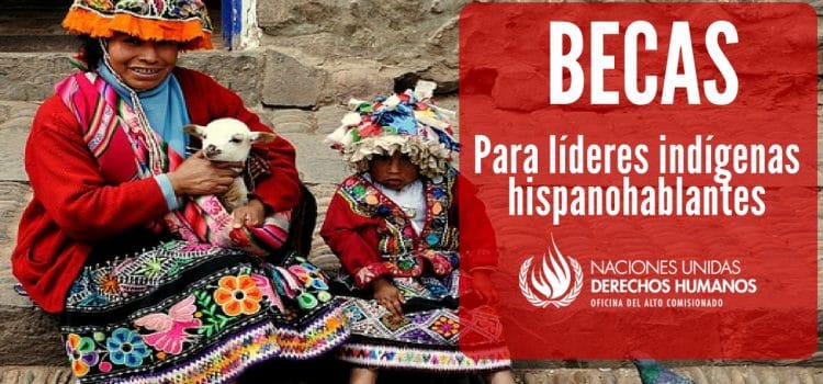 Convocatoria de la ONU para indígenas hispanohablantes