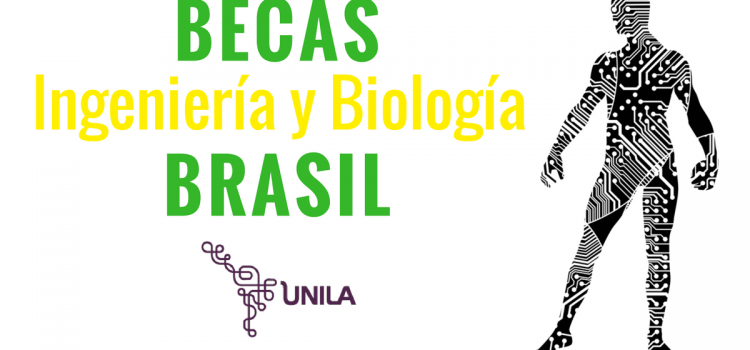 Becas en Ingeniería y Biología en Brasil
