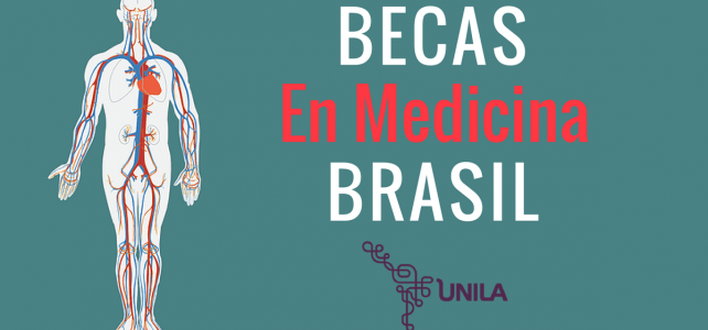 Becas de Medicina en Brasil