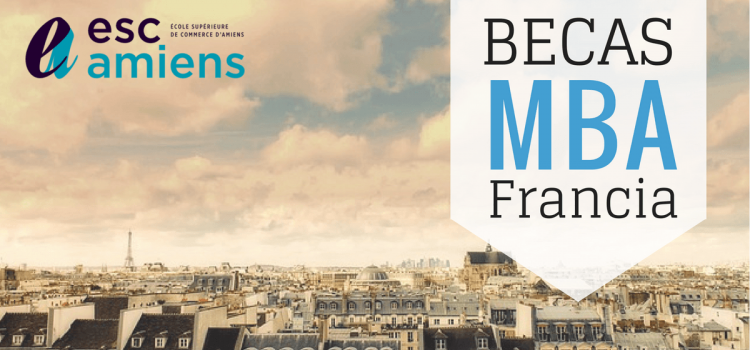 Becas para MBA en Francia