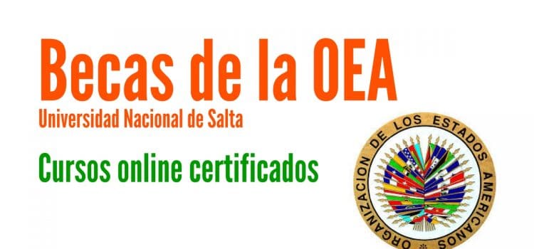 Becas OEA completa para cursos online con la Universidad Nacional de Salta