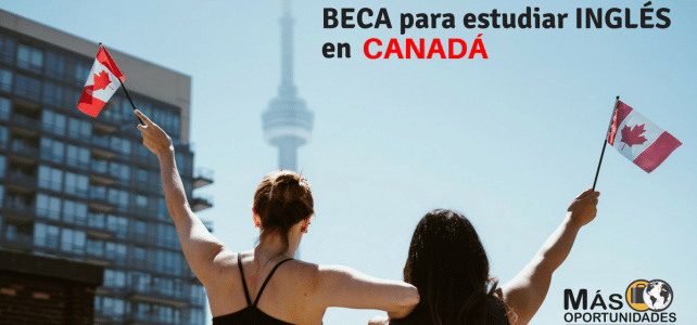 Beca para estudiar INGLÉS en CANADA – Incluye asesoría de cómo aplicar a una beca en el exterior y más