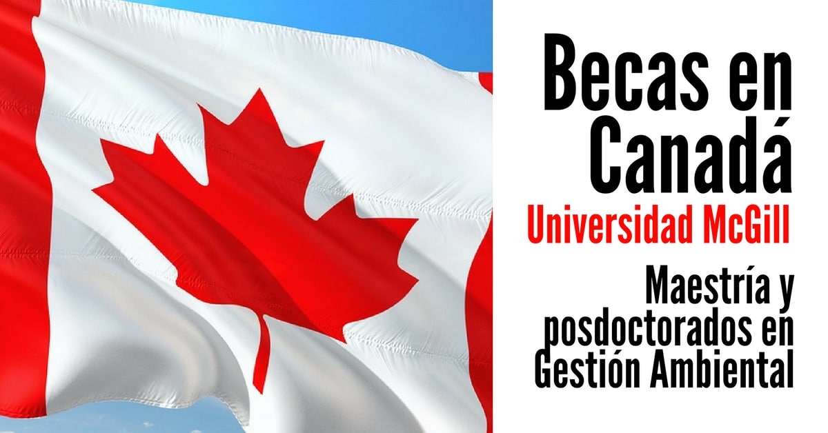 Becas en Canadá para cursar maestrías y posdoctorados Más Oportunidades
