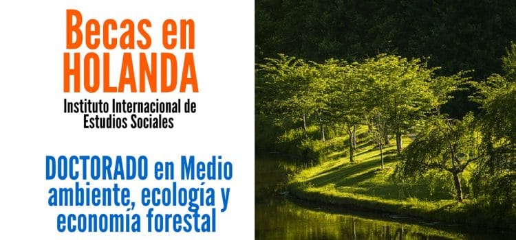 Becas en Holanda para doctorados en áreas de medio ambiente, ecología y economía forestal