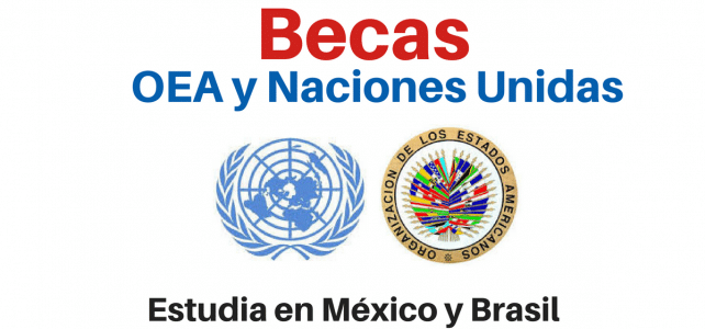 Becas de la OEA y Naciones Unidas