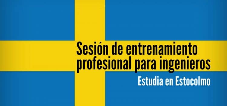 Sesión de entrenamiento profesional en Suecia para ingeniero(a)s