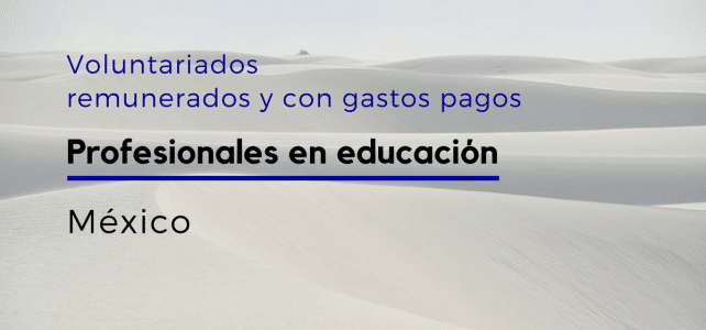 Voluntariado Remunerado en México para educadores