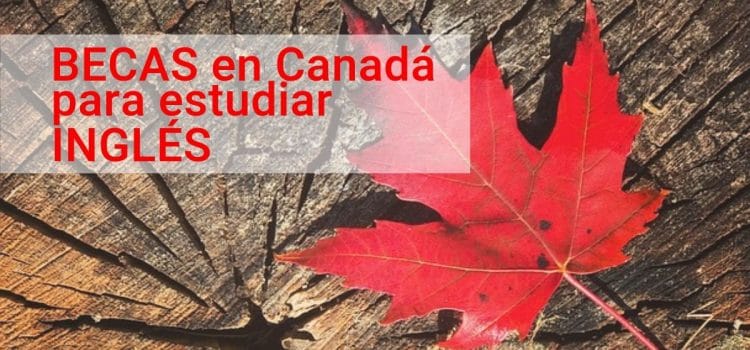 Becas para estudiar inglés en Canadá