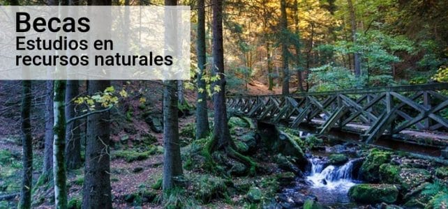 Becas cursos cortos en ciencias forestales o gestión de recursos naturales