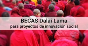 Becas Dalai Lama para proyectos de innovación social